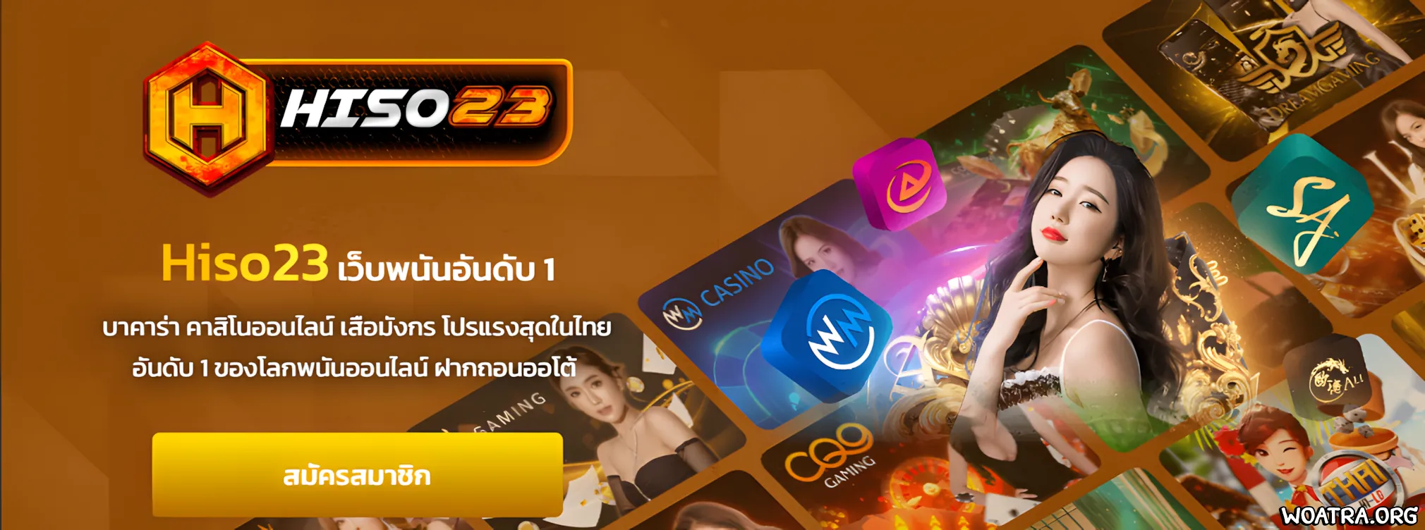 HISO23